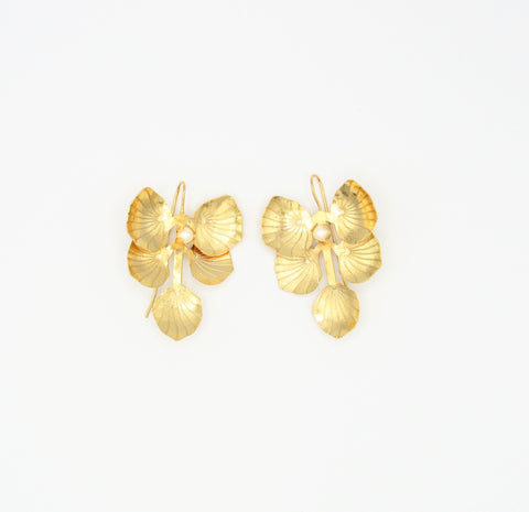 Shells Pearl Golden Drop Earrings